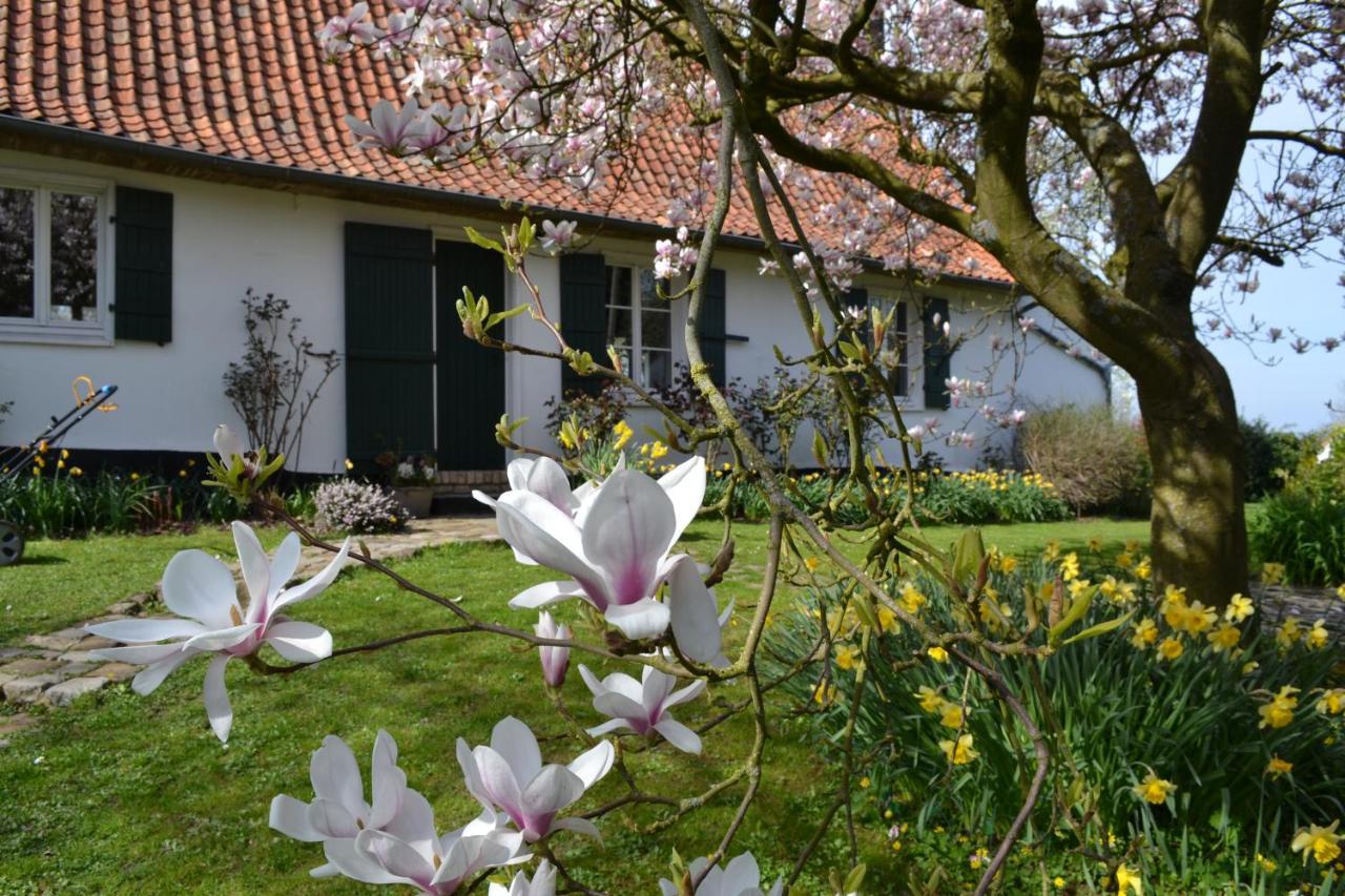 La Longere D'Ecottes Bed & Breakfast Licques Екстериор снимка